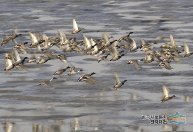대표시청각 이미지