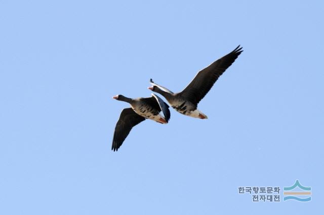 대표시청각 이미지