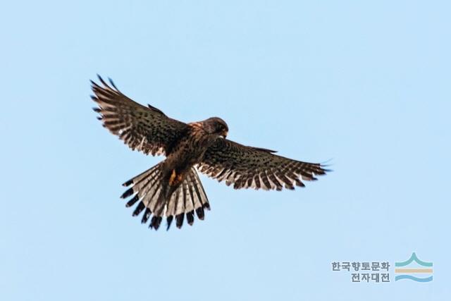 대표시청각 이미지