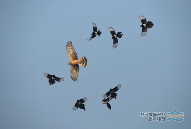 대표시청각 이미지