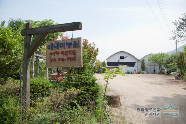 대표시청각 이미지