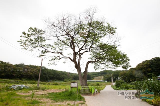 대표시청각 이미지