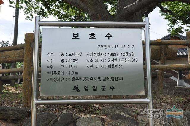 서구림리 느티나무 안내문