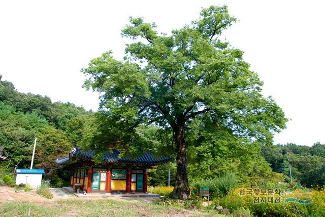 은석사 전경
