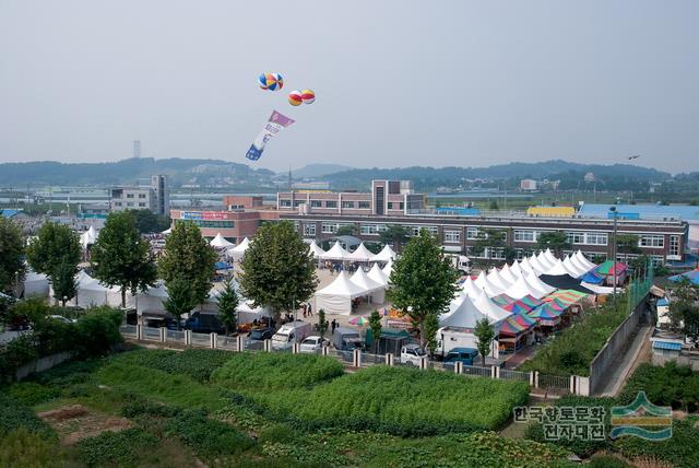 입장 거봉 포도 축제장 전경