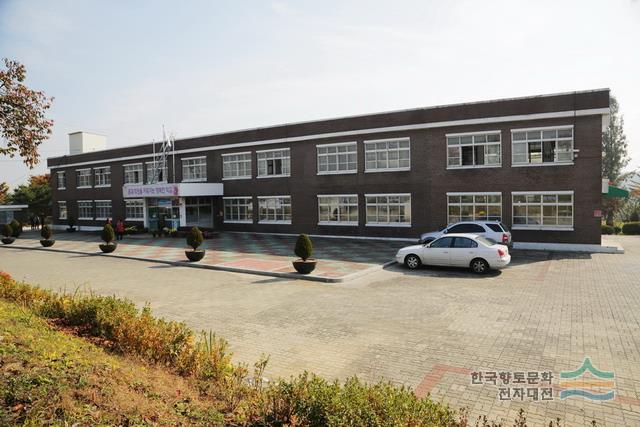 도하 초등학교
