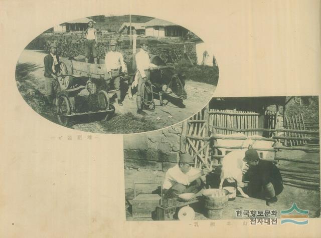 1940년대 천안 공립 농잠 보습 학교 실습