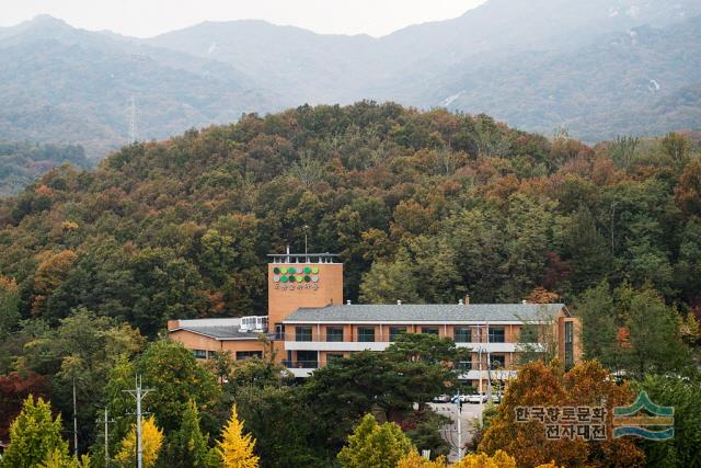 대표시청각 이미지