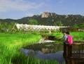 서울 창포원에서 바라본 도봉산과 도봉산역 썸네일 이미지