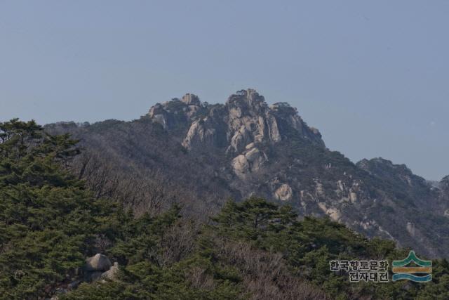 대표시청각 이미지