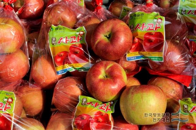 포천 농특산물 대축전 포천사과