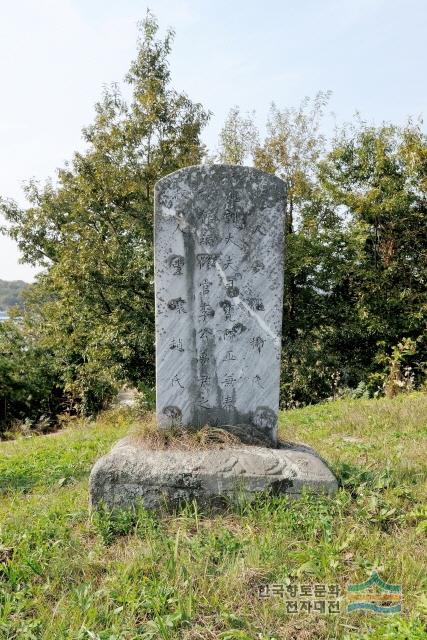 금현리 경주 이씨 이몽윤 구 묘비