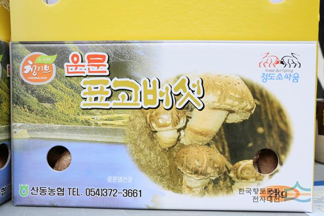 표고버섯