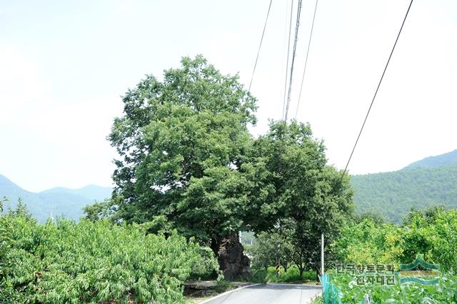 대표시청각 이미지