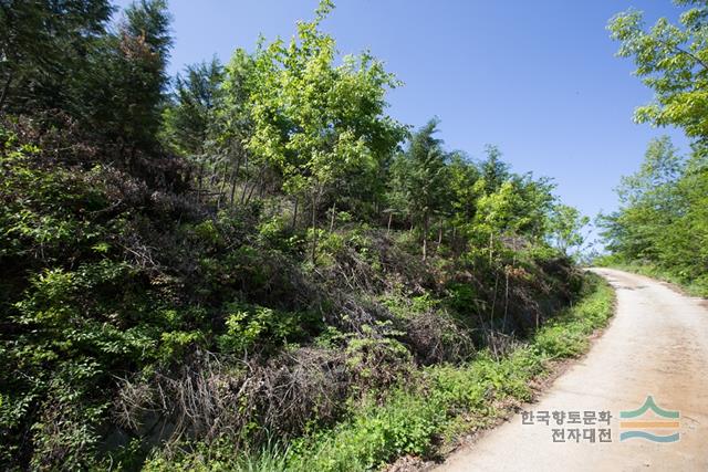 축동리 절터 전경
