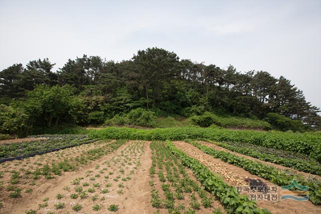 대표시청각 이미지