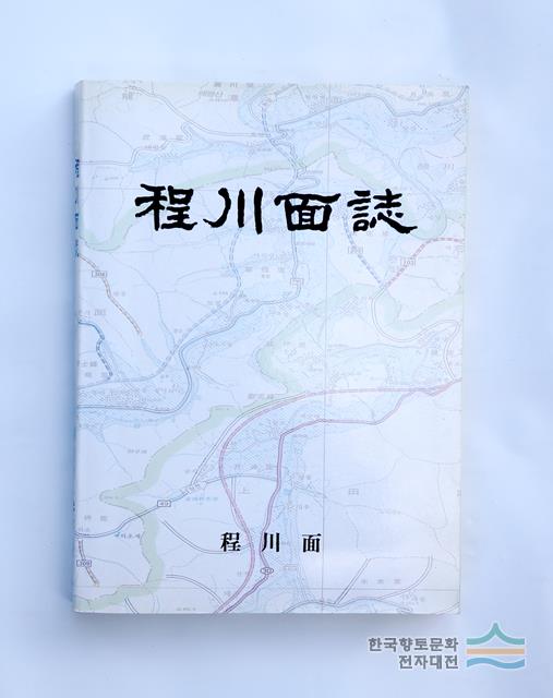 『정천 면지』