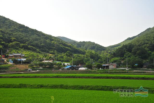 평남리 구남 마을 전경