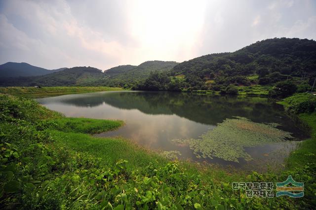 탑리 심초저수지 전경