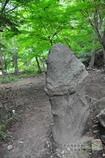 대표시청각 이미지