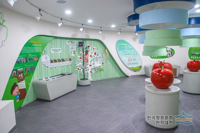 사과탐구의 집 내부