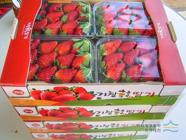 거창 딸기