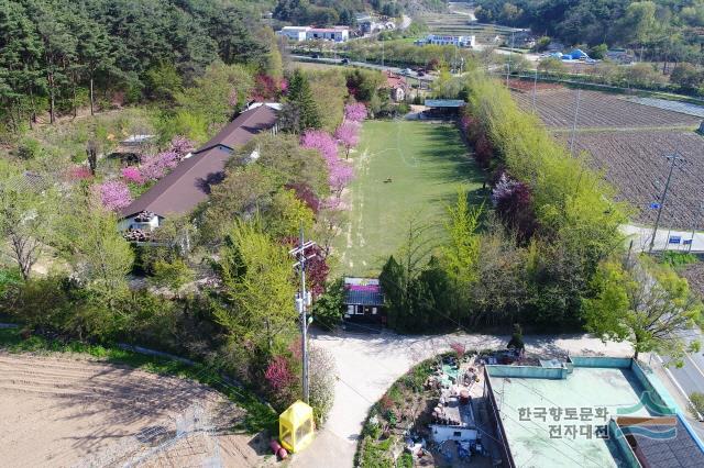아미 미술관 측면