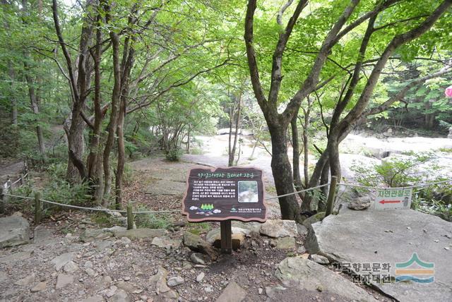 삼공리 구천동 항일 전적지