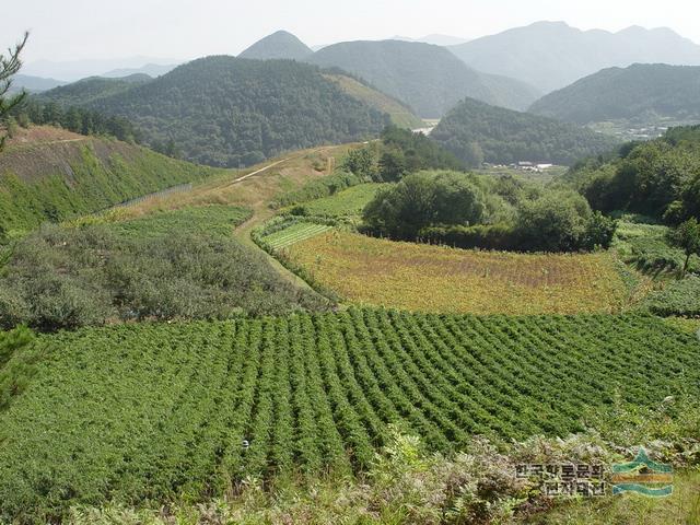 용포리 유물산포지 - 디지털무주문화대전