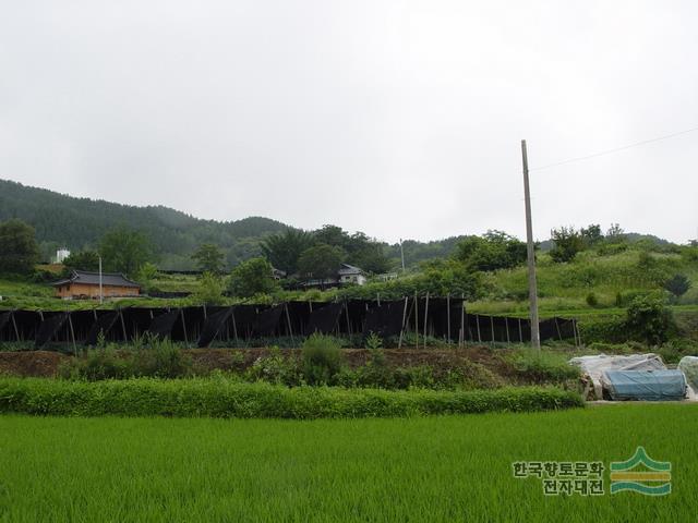 대소리 백자 가마터