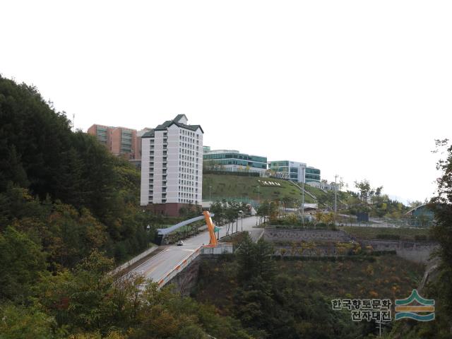 강원대학교 도계캠퍼스 황조관과 교문 - 디지털삼척문화대전