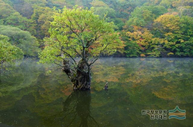 주산지