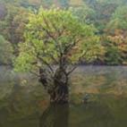 주산지