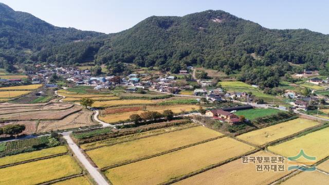 평촌1리