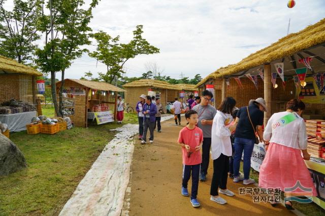 2018년 함양산삼축제