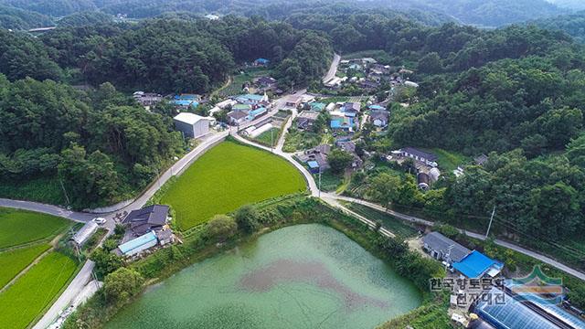 용상리 전경