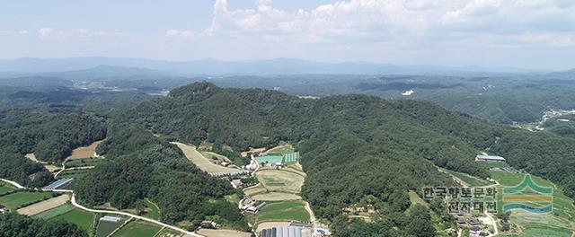 용상리에서 바라본 박봉산 전경