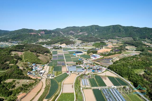호산리