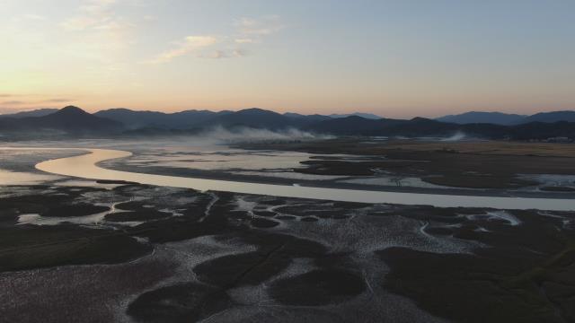 자연이 만든 생명의 요람, 순천만 썸네일 이미지