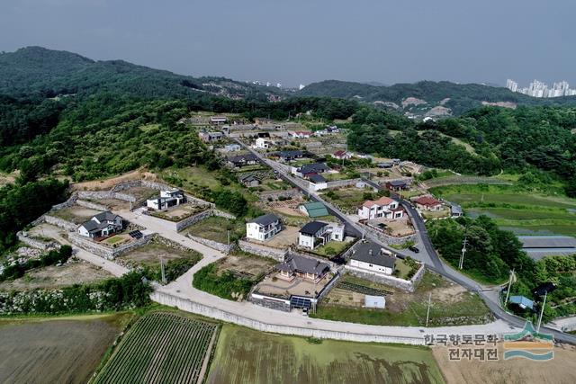 대교리