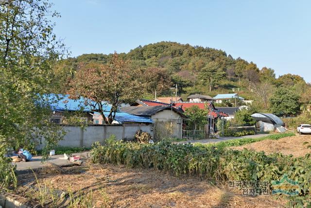 안동권씨 집성촌