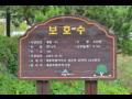 송학리 몸티 향나무 고사에 사용되는 향나무의 설명판 썸네일 이미지