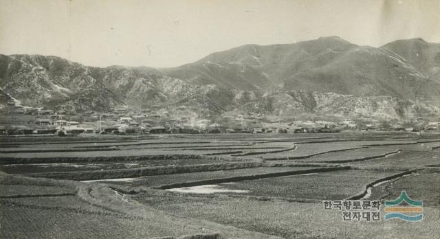 1970년대 월하리