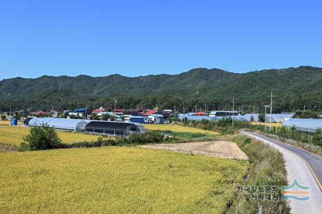 정연리