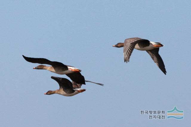 대표시청각 이미지