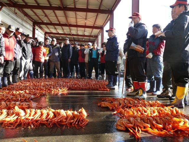 강구항대게직판장 - 디지털영덕문화대전