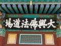 「대여불법도장」 썸네일 이미지