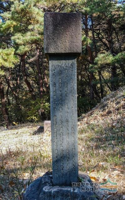 손처눌의 묘소 묘비 측면