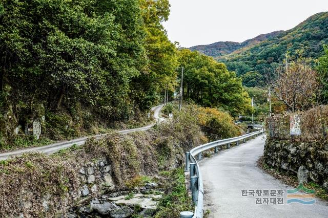 수밭길