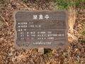 이곡동 팽나무 안내판 썸네일 이미지